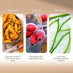 VLCC Skin Defense Turmeric & Berberis Face Wash Buy 1 Get 1 Free - Pack of 2 image 5