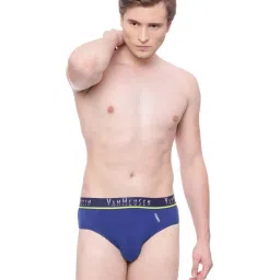Van Heusen Blue Cotton Regular Fit Briefs image 1