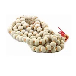 Divine souvenirs Unisex Artificial Beaded Statement Chain-picture-29