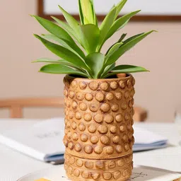 LASAKI Bubble Brown Ceramic Handmade Small Antique Planter With Plate image 5