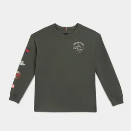 Tommy Hilfiger Boys Cotton Tshirts-picture-39