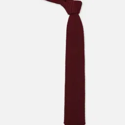 Van Heusen Maroon Textured Tie image 2