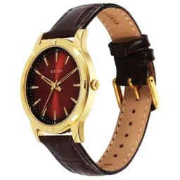 Titan 10058YL01 Karishma Festive 3.0 Analog Watch For Men image 3