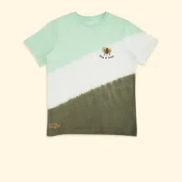 Pantaloons Junior Multicolor Cotton Color Block T-Shirt-picture-22