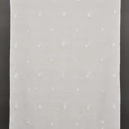 Jaypore Natural White Embroidered Chikankari Dupatta image 5