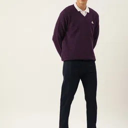 Monte Carlo Men Self Deisgn Pullover image 5