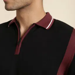 Andamen Burgundy Regular Fit Colour Block Polo T-Shirt image 5