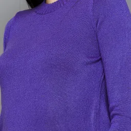 Ginger by Lifestyle Purple Regular Fit Pullover image 5