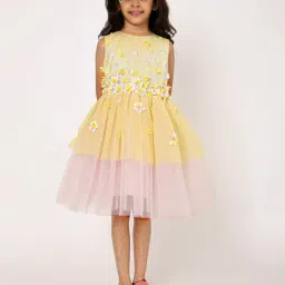 A Little Fable Girls Yellow & Pink Applique Dress-picture-11