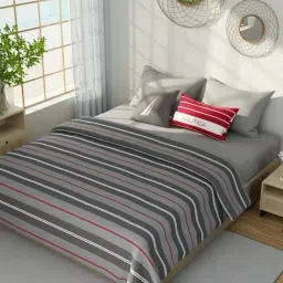 Nautica Hampton Grey & Maroon Cotton Striped 150 GSM Double Blanket-image-43