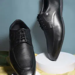 Hush Puppies by Bata Men's Black Derby Shoes-image-18