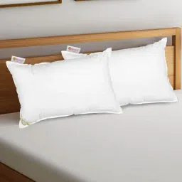 Bianca NATURE BIO SOYA White 100% Cotton Pillow - Set of 2 image 2