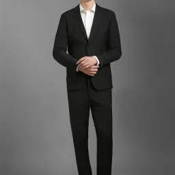 Louis Philippe Grey Slim Fit Checks Two Piece Suit image 1