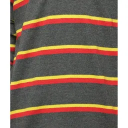 Peter England Kids Grey Striped  Full Sleeves Polo T-Shirt image 5
