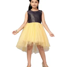Aarika Kids Navy & Yellow Textured Pattern Dress image 1