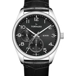 TORNADO T25102-SLBB Analog Watch For Men-picture-14