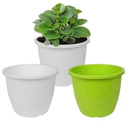 Kuber Industries Pack Of 3 White & Green Planters-picture-19