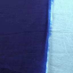 APNISHA Blue Printed Saree With Unstitched Blouse image 5