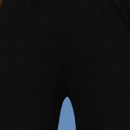 Mafadeny Black Regular Fit Mid Rise Palazzos image 5