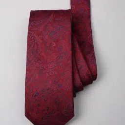 Van Heusen Red Embroidered Formal Tie-picture-10