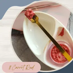 KINDED Makeup Pigments Loose Shimmer Powder Eyeshadow 10 Bronze & 11 Carrot Red Combo image 4