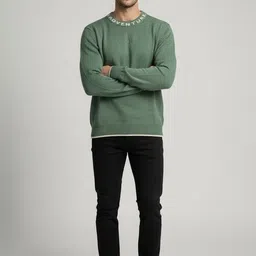 The Roadster Lifestyle Co Round Neck Pullover Sweater image 2