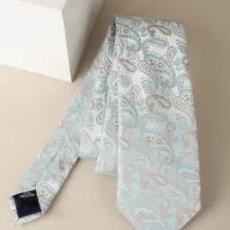 Van Heusen Multicolor Embroidered Formal Tie-picture-41