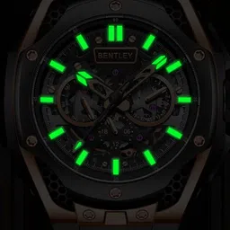 BENTLEY Men Dial & Straps Analogue Multi Function Automatic Motion Powered Watch BL-50-01 image 3