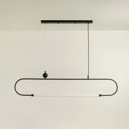 Whispering Homes Bouvet 1-Light Chandelier - Black image 1