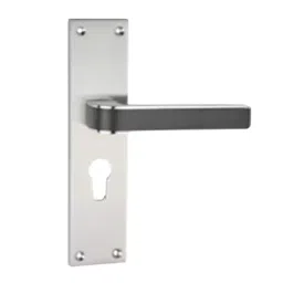 Tasa Cylindrical Mortise Handle Stainless Steel Finish 254 mm (10 Inch), Q-35-picture-34