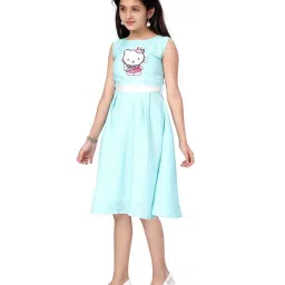 Aarika Kids Turquoise Printed Dress image 3