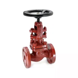 Sant 20 mm Cast Steel Globe Valve CS 1 image 1