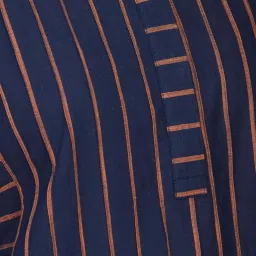 Fabindia Navy Cotton Striped Straight Kurta image 5