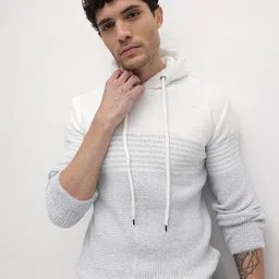 The Roadster Life Co. Self Striped Waffle Knit Hooded Woollen Pullover-picture-31