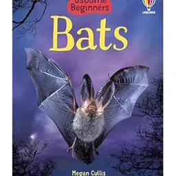 Usborne Bats - English-picture-26
