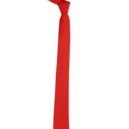 Peter England Red Solid Tie image 2