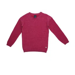 Allen Solly Junior Pink Textured Sweater image 1