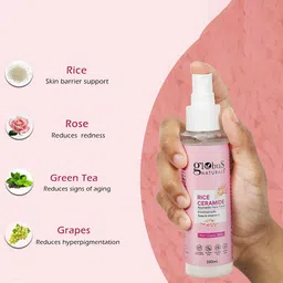 Globus naturals Set Of 3 Rice Ceramide Ayurvedic Face Toner -100ml Each image 2