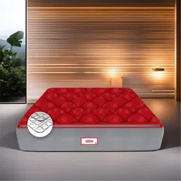 COIRFIT Red Printed Orthopedic Anti-Bacterial Bonnell Spring SingleMattress-picture-13