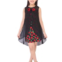 Cutecumber Kids Black & Red Printed Dress image 4