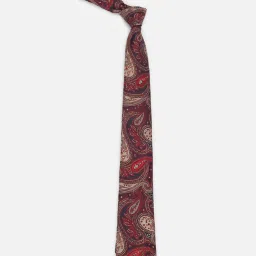 Allen Solly Multicolor Embroidered Casual Tie image 2