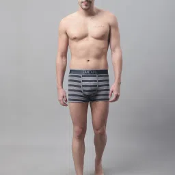 Cantabil Grey Striped Trunks- Pack of 3 image 5