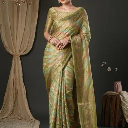 Saree Mall Light Green Organza Self Saree with Blouse Piece-image-37