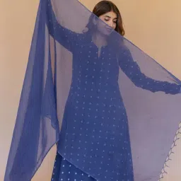 The Indian Ethnic Co Blue Kota Doriya Dupatta-image-59