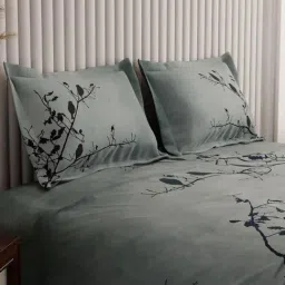 Stoa Paris Multicolor Cotton Floral 250 TC King Bedsheet with 2 Pillow Covers image 4