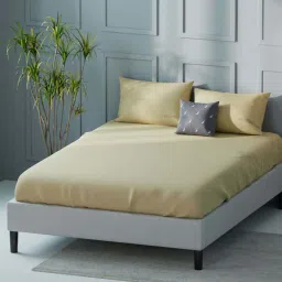 Nautica Compass-400 Yellow Cotton 400 TC King Size Bedsheet With 2 Pillow Covers image 2