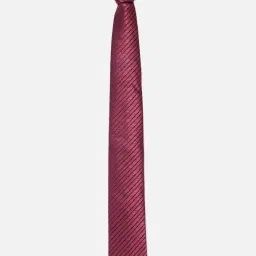 Allen Solly Maroon Embroidered Tie image 2