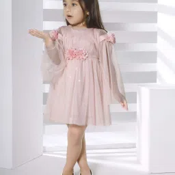 Peppermint Kids Peach Net Regular Fit 1 Dress image 2