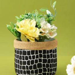 Tayhaa Black Ceramic Planter-image-95