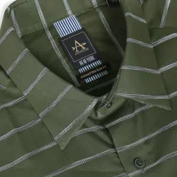 Arrow Green Cotton Slim Fit Striped Shirt image 4